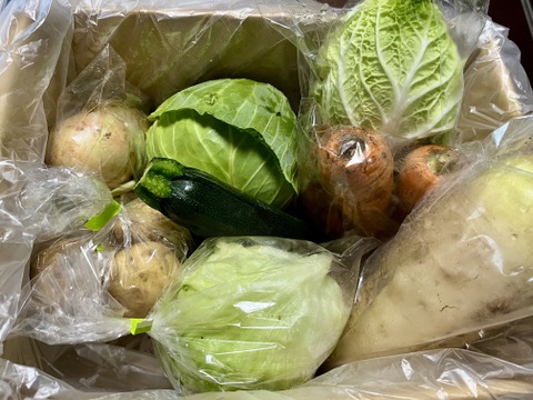 旬の野菜セット７～8品【栽培期間中農薬・化学肥料不使用】