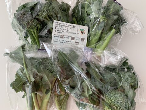 栄養たっぷり、スティックセニョール1k