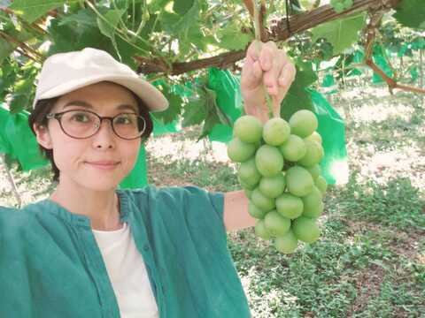 【限定発送】訳ありシャインマスカット粒　1.5㎏