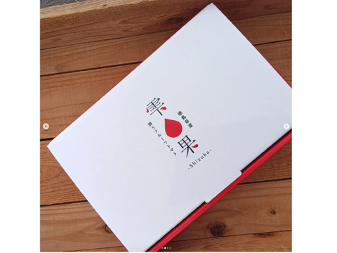 豊かな潤い！ルネッサンストマト「雫果（しずか）」600g・ギフトボックス