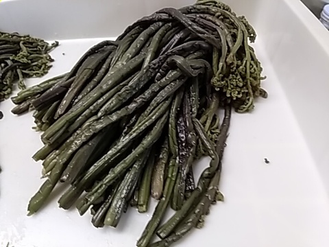塩蔵わらび　2㎏（塩蔵500g×4ヶ）