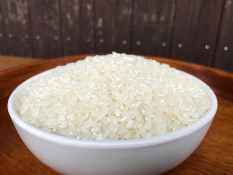 奥浜名の摩訶耶（まかや）米(令和7年産）　4.5㎏入り