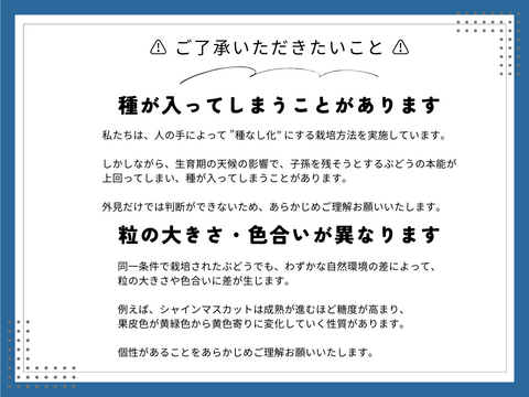 《家庭用》ナガノパープル（２〜３房）長野県須坂市産・クール便