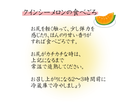 熊本県八代産　クインシーメロン　５玉　３Ｌサイズ