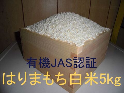 有機JAS認証【農薬不使用「はりまもち」白米5kg】甘くてよく伸びるもち米 2025年兵庫県産「タガメの里・自然米」