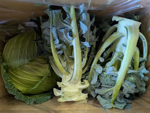 😊順ちゃんセット😊