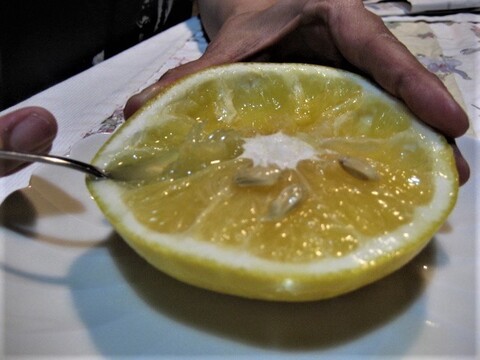 伊豆の朝採りグレープフルーツホワイト 農薬 肥料 除草剤 全て不使用