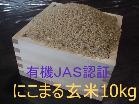 有機JAS認証【農薬不使用「にこまる」玄米10kg】コシヒカリを超えた美味しさ 2025年兵庫県産「タガメの里・自然米」