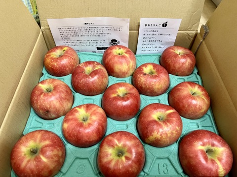 16ケースできました！【りんごの概念変わります】見た目は悪いです！奥州ロマン 訳あり品 5キロ箱 15玉から33玉くらい ID12924 長野 信州 安曇野 リンゴ 幻 幻のリンゴ  希少  甘い