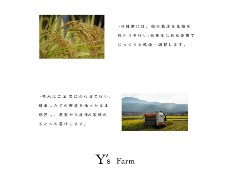 新潟県産コシヒカリ,和泉,2kg,令和7年新米,【受注後精米・農家直売】