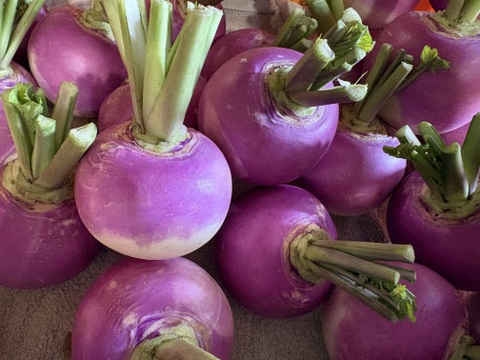 春夏秋冬、山から届くシェフの育てた野菜セット