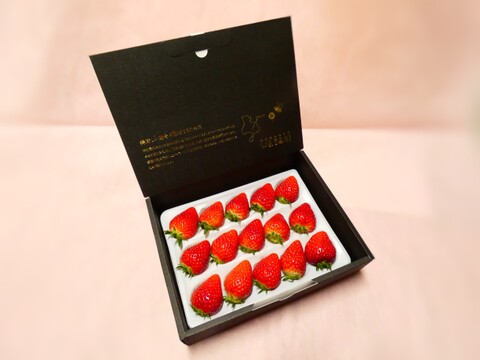 コードファーム175の「ほしうらら」！いちごグランプリ2025「総合大賞」！　15粒入りセット　450g