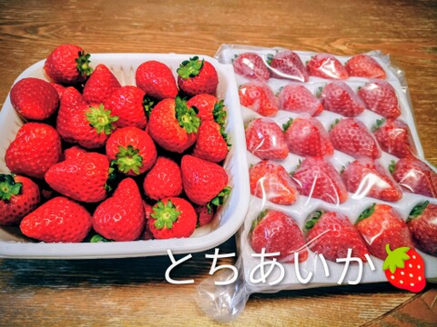 とちあいか1箱4パック(1箱で満足1.3kg以上)