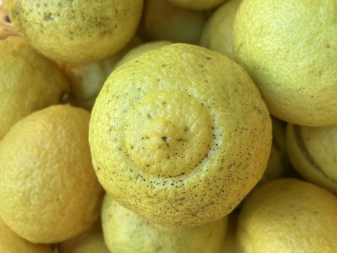 【見た目は酸っぱそうだけど　酸味のない】　愛媛県産　はるか3kg（1kg6個程度）