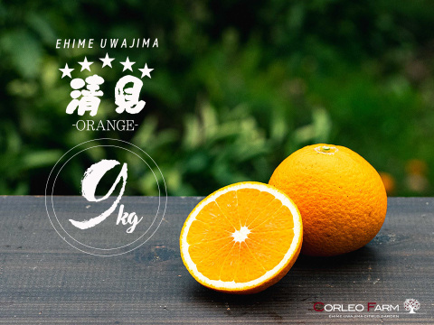 芳醇な香りと果汁あふれる 【清見オレンジ】Aセレクション9kg