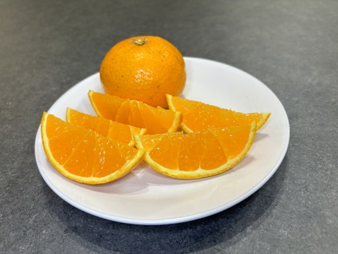 果汁爆弾！溢れる果汁の清見オレンジ【贈答用】1kg