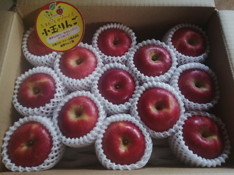 まるごとガブリっ！奥州ロマン☆小玉・食べきりサイズりんご【岩手江刺産】３㎏