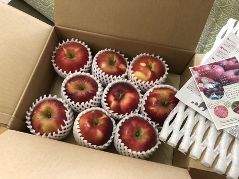 ～🍎陽だまりりんご🍎～お菓子作りに最適です！『太陽の恵みいっぱい紅玉』【家庭用】　９個から１５個入り