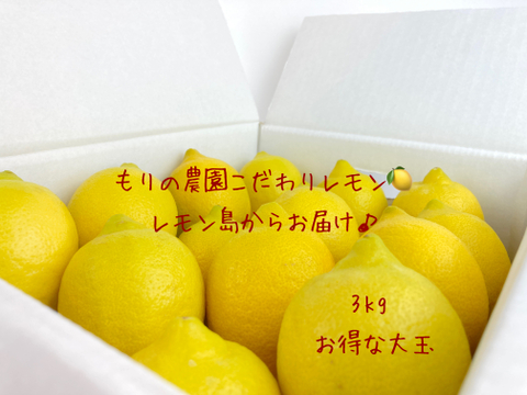 【生産量第1位】こだわりの安心完熟レモン3kgお得な大玉◉ワックス防腐剤不使用