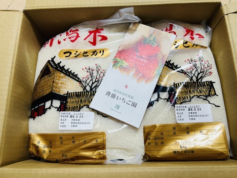 受注後精米 令和7年産 新米 新潟県産コシヒカリ 10kg【5kg×2袋】 こしひかり