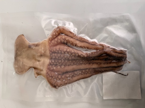 漁師厳選‼️漁師が作る干物豪華8種