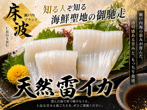 【リピーター続出必至】元料理×漁師の目利きによって完成する逸品🌊天然国産『雷イカ』長州床波ブランお試しキャンペーンお刺身用約200g【6月上旬予約】