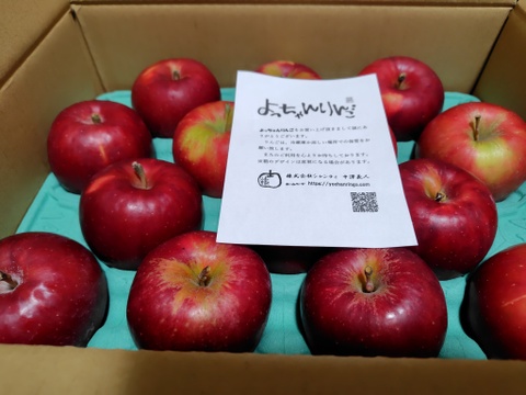 人気の紅玉!!家庭用🍎約2.7Kg　そのままお召し上がり可能。スイーツ、お菓子　青森県産　りんご　リンゴ　林檎