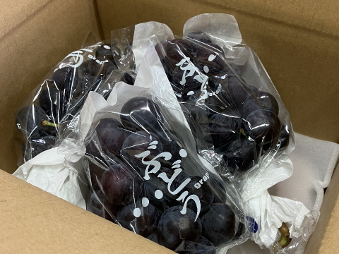 食べチョク登録記念　
山梨県産ピオーネ約1㎏~1.2kg　【ご家庭用】