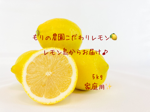 【生産量第1位】こだわりの安心完熟レモン5kg家庭用◉ワックス防腐剤不使用