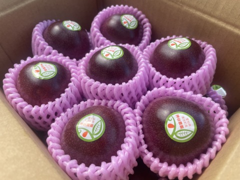 食べ頃パッションフルーツ  １５個入り