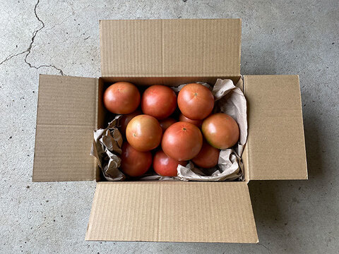 期間限定！旬の濃厚大玉トマト（2kg）