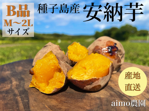 【絶品】aimo農園｜種子島産安納芋 B品(M~2Lサイズ) 18kg(箱別)