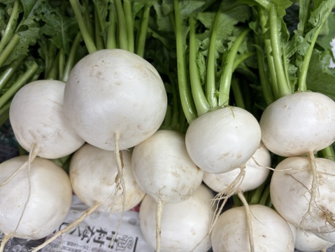 【福袋】【淡路島より旬をお届け】冬の野菜セット