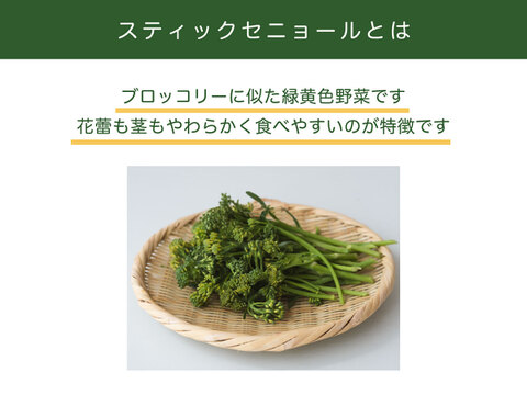 【手ごろな量を朝採れで！】スティックセニョール　1200g　常温便