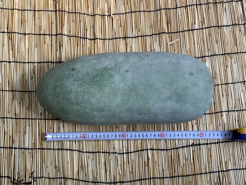 【自然栽培】固定種 大玉冬瓜１玉 5kg以上★農薬・肥料不使用