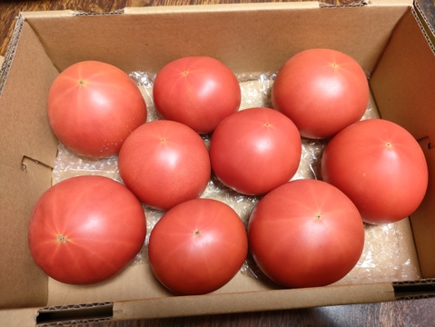 ジューシー完熟取りたて信州トマト（約2kg）