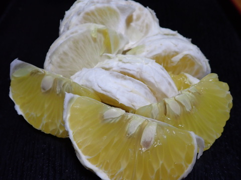 【ご家庭用 】 文旦(小玉) 箱込み5Kg