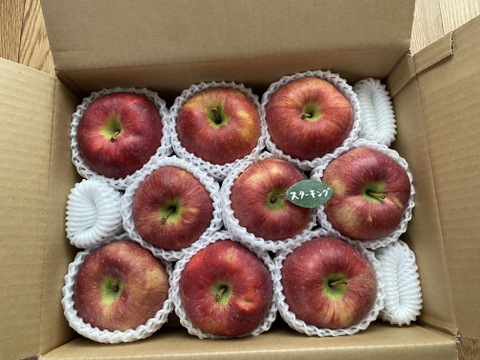 🍎希少品種🍎【スターキング】家庭用約3キロ9～15玉 ID167296