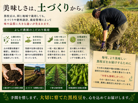 丹波篠山 黒枝豆 1.8kg( 600g × 3袋 ) 【令和7年新豆・予約販売】 産地