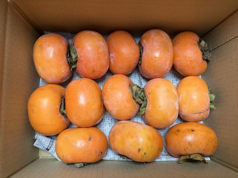 自然栽培庄内柿1.5kgと干し柿500g2袋のセット