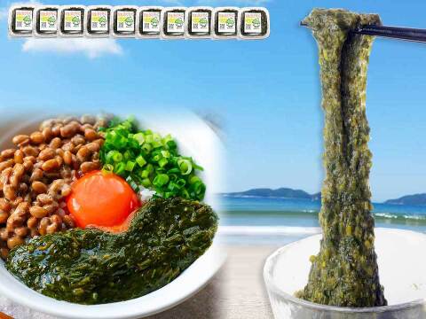 【毎日食べたい♪】規格外のネバネバ 海藻 宗像のあかもく１０個
