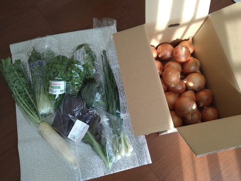 【福袋】玉ねぎ6kg🧅とその他葉物野菜など5種類以の上野菜セット
