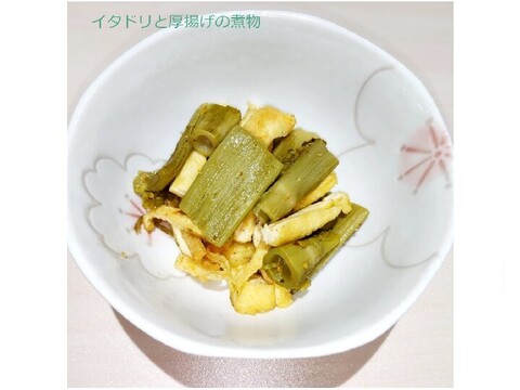 天然山菜【いたどり】国産 1㎏ 煮物 炒め物 きんぴら 天ぷら等で 山形産《予約受付》