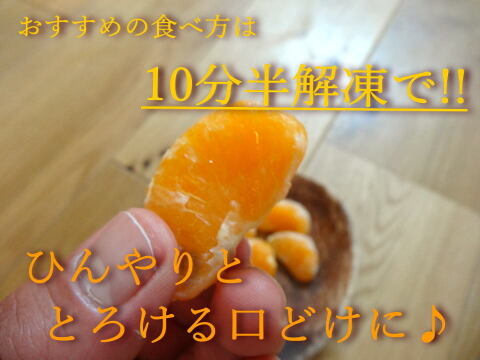【アンケート付！増量分】暑い夏に！新冷凍みかんアイスが新登場！こだわり栽培の完熟みかんを瞬間凍結！10分の自然解凍で食べ頃！くちどけ滑らかな「とろ生アイスみかん💛」　約100g×5袋（計500g）