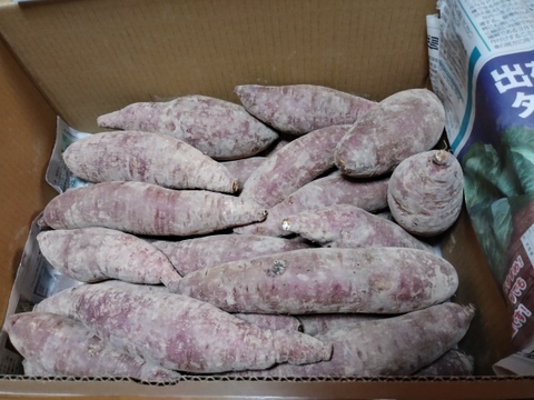 しっとり甘～～い！『べにはるか』【５kg】