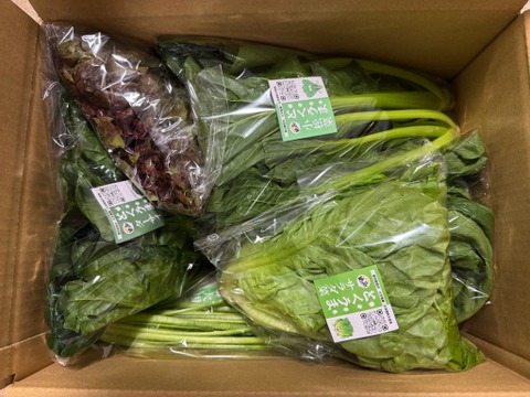 【カレンダー付】絶品！とくうま秋冬野菜５〜７品セット＜１２月発送分＞