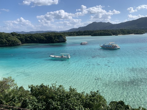 【暑い夏にオススメ❣️】石垣島のパイン農家が作る完熟ゴールドバレルのスッキリ爽やかジェラート🍧6個セット！！