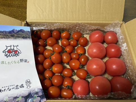 お試し♪【本当に美味しい🍅】自然栽培！味の濃い中玉トマトとミニトマトのセット