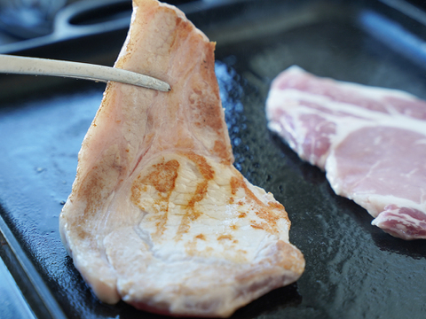 贈り物にピッタリ！10％の希少厳選豚「だいじょ豚」ギフトセット 手造りハンバーグ４個 ロースステーキ4枚 オリジナル藻塩10ｇ付き