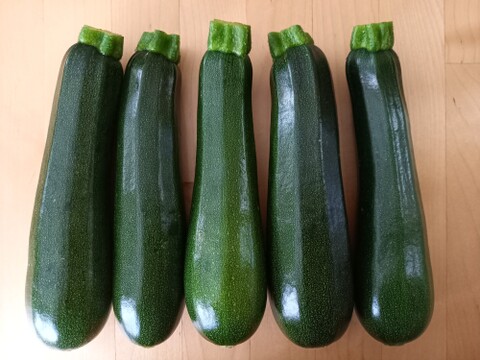 採れたて！ジューシー☆ズッキーニ　1kg